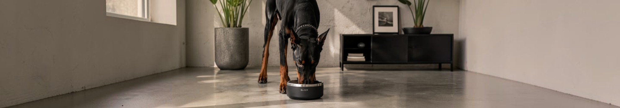 PETS COLLECTION